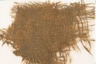 Etikett zu Textil (NHMW-PRAE-120937)